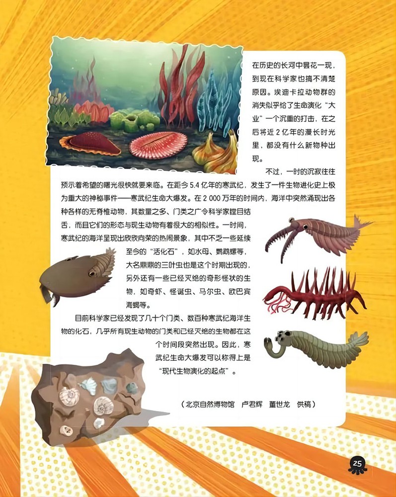 海洋生物的前世今生