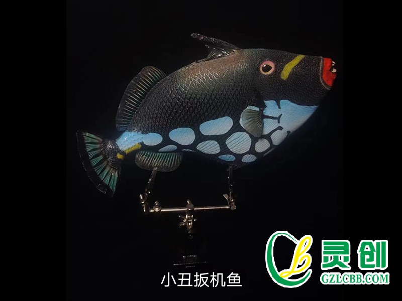 小丑扳機(jī)魚標(biāo)本